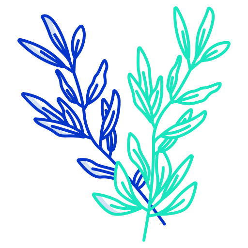 Rosemary aroma leaves aromatic icon