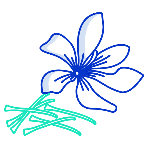 Saffron spices saffron herb icon
