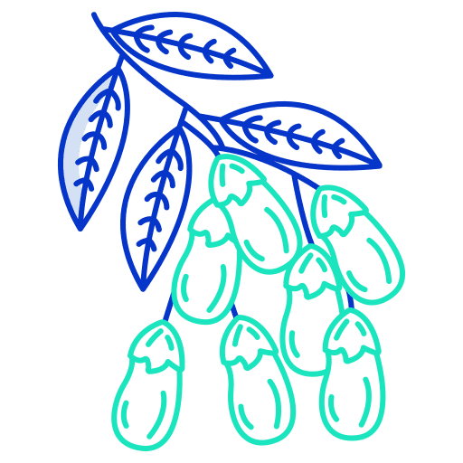 Barberry nature food plant icon Barberry nature food plant icon