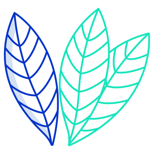 Bay cooking nature leaf icon Bay cooking nature leaf icon