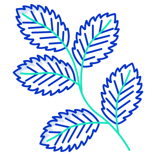 Mint food and restaurant plant leaf icon Mint food and restaurant plant leaf icon