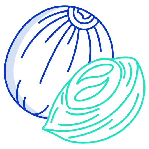 Nutmeg food and restaurant flavor cooking icon Nutmeg food and restaurant flavor cooking icon