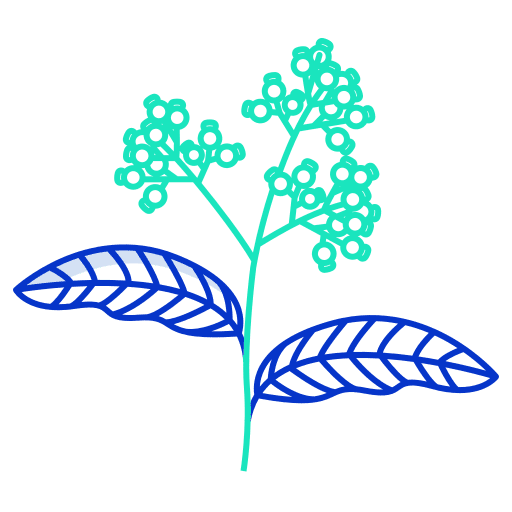 Pepper leaves cooking leaf icon Pepper leaves cooking leaf icon