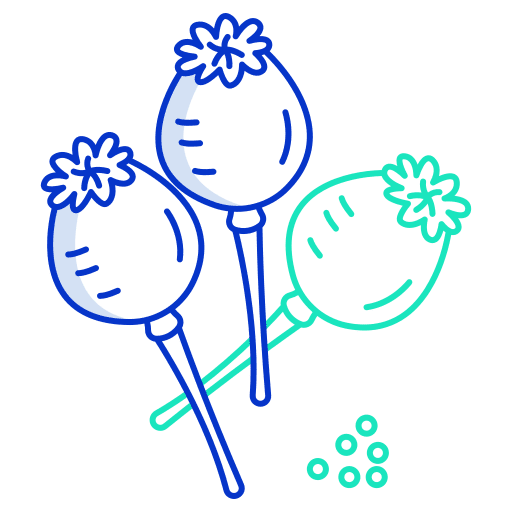 Poppy petals blossom nature icon Poppy petals blossom nature icon