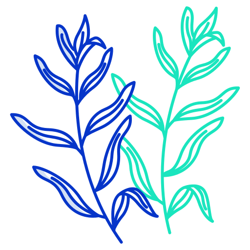 Tarragon spice herb nature icon Tarragon spice herb nature icon