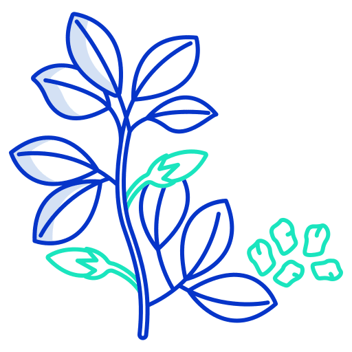 Dill organic nature diet icon Dill organic nature diet icon