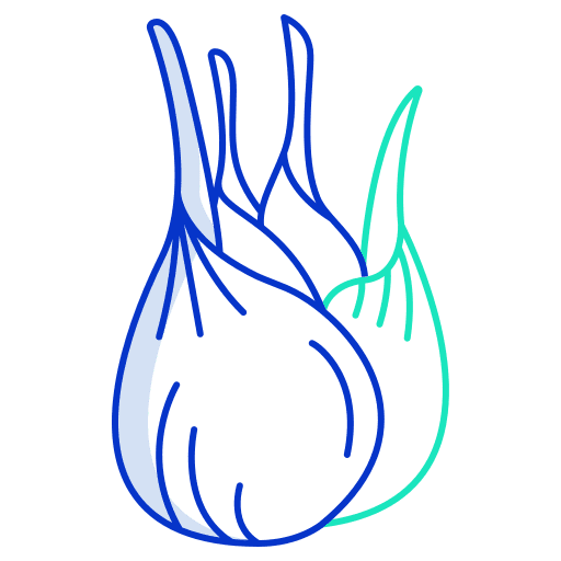 Fennel vegetable nutrition vegetarian icon Fennel vegetable nutrition vegetarian icon