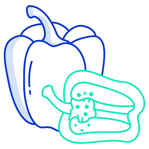 Paprika organic paprika vegetarian icon Paprika organic paprika vegetarian icon