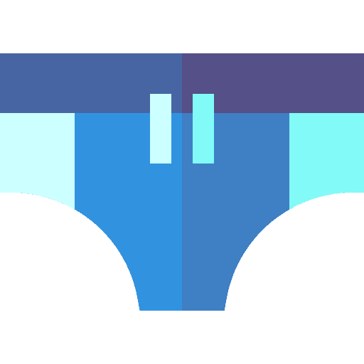 Swimsuit clothes fashion swimwear icon