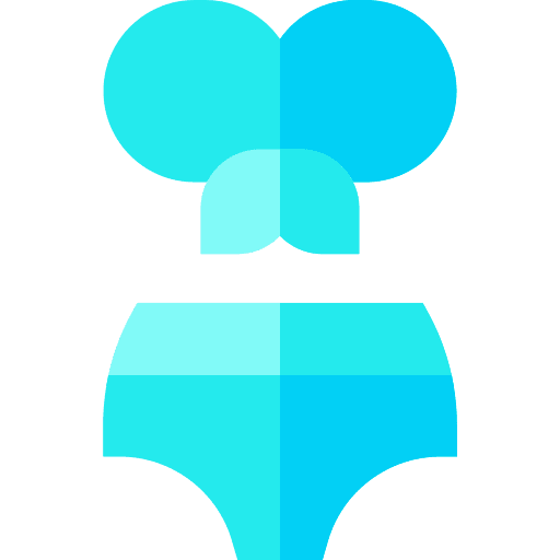 Bikini swimsuit fashion clothing icon Bikini swimsuit fashion clothing icon
