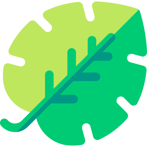 Monstera leaf exotic botanical plant icon