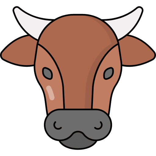 Sacred cow sacred cow cultures indian icon