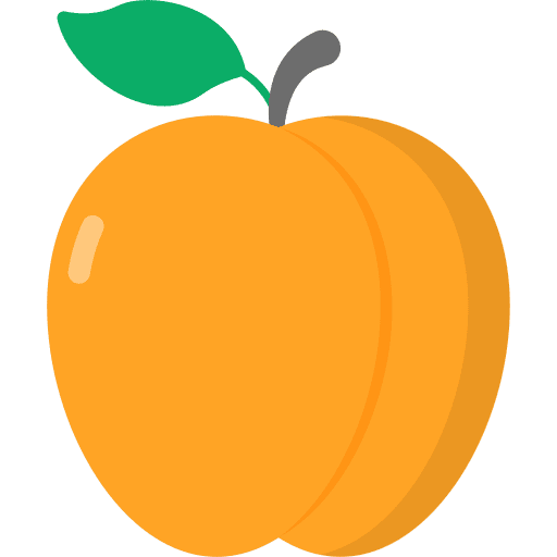 Apricot nutritive food and restaurant vegan icon