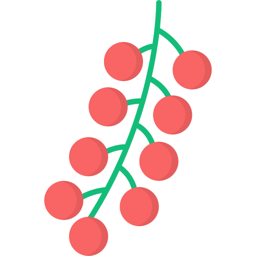 Currant fruit currant red icon