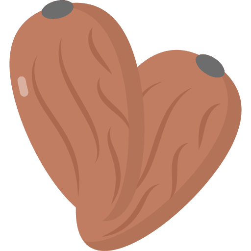 Dates organic nutritive dates icon