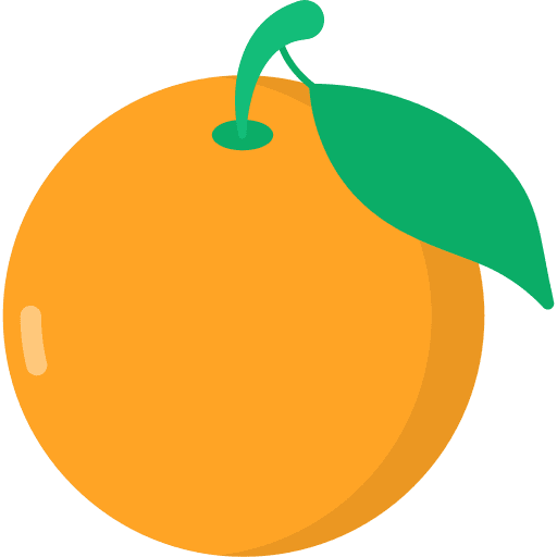 Orange food and restaurant organic orange icon
