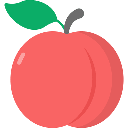 Peach organic healthy food nutritive icon