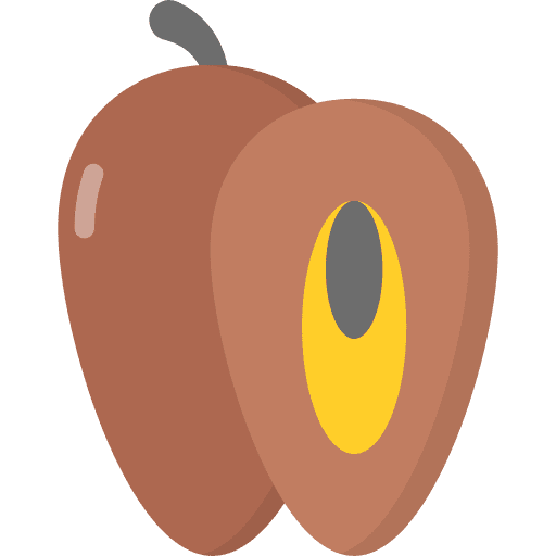 Sapodilla nutritive organic healthy food icon Sapodilla nutritive organic healthy food icon