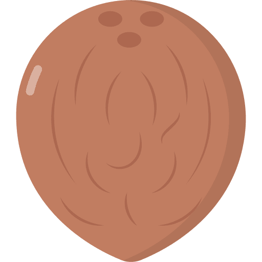 Coconut organic vegan coconut icon Coconut organic vegan coconut icon