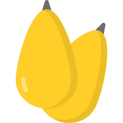 Loquat food and restaurant vegan organic icon Loquat food and restaurant vegan organic icon