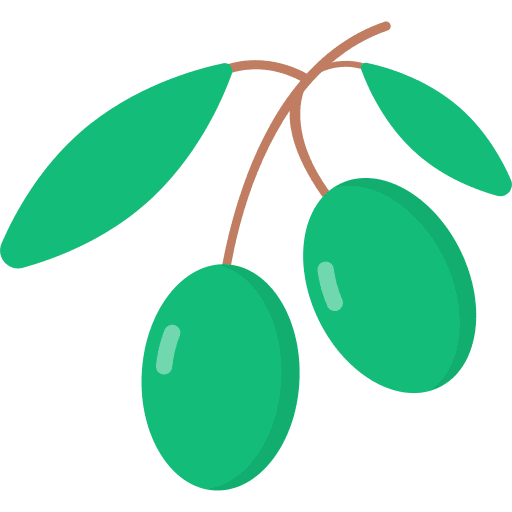 Olive fruit olives diet icon Olive fruit olives diet icon