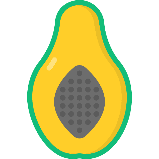 Papaya fruit vegan healthy food icon Papaya fruit vegan healthy food icon