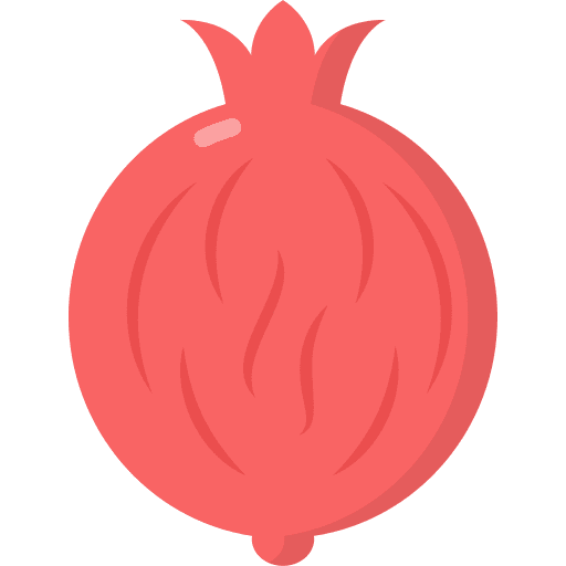 Pomegranate vegan pomegranate fruit icon Pomegranate vegan pomegranate fruit icon