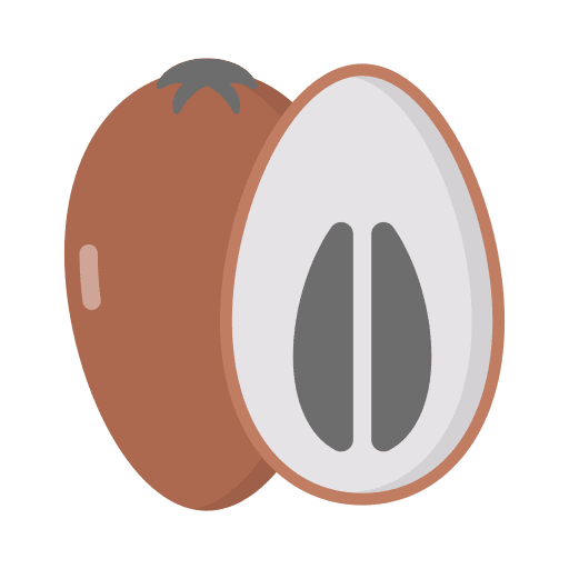 Sapodilla fruit vegan nutritive icon Sapodilla fruit vegan nutritive icon