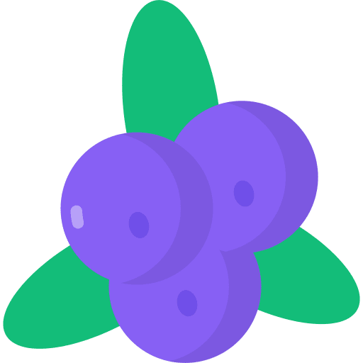 Blueberry blueberries organic vegan icon Blueberry blueberries organic vegan icon