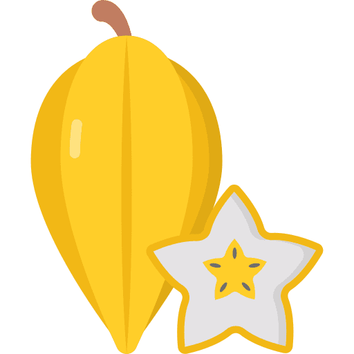 Carambola food and restaurant carambola healthy food icon Carambola food and restaurant carambola healthy food icon