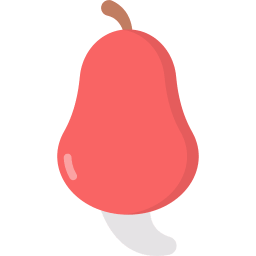 Cashew apple diet vegan icon Cashew apple diet vegan icon