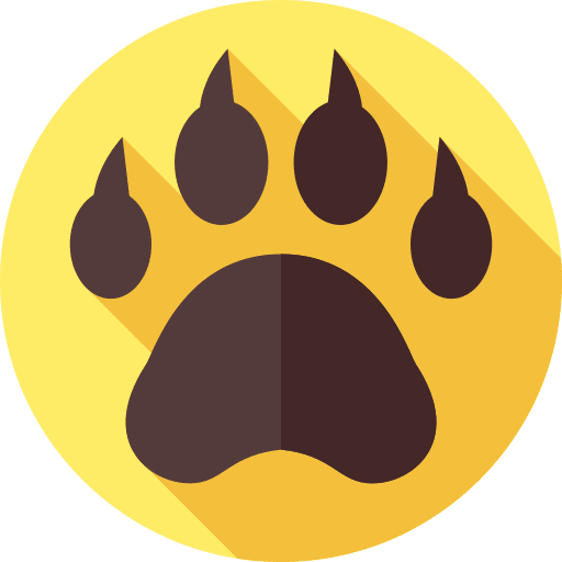 Animal track zoo animals bear icon