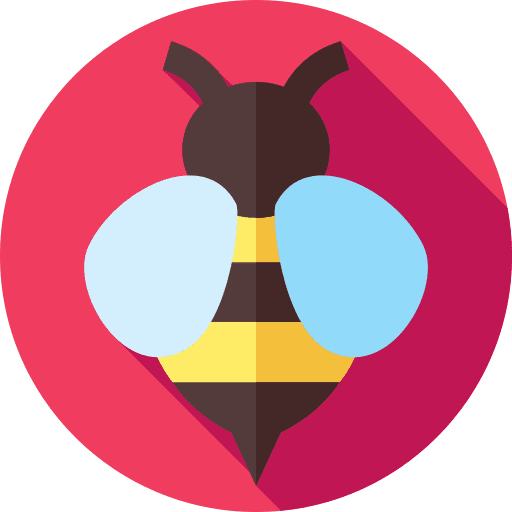 Bee zoology entomology animal kingdom icon