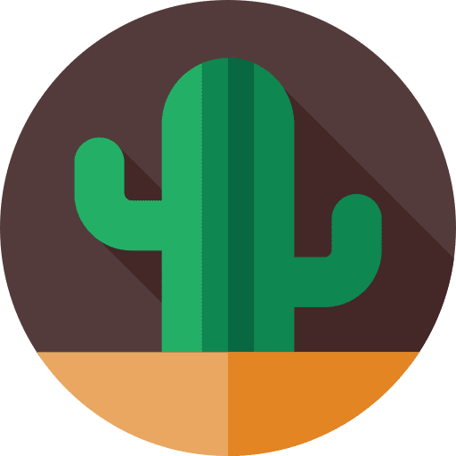 Cactus nature sun cactus icon