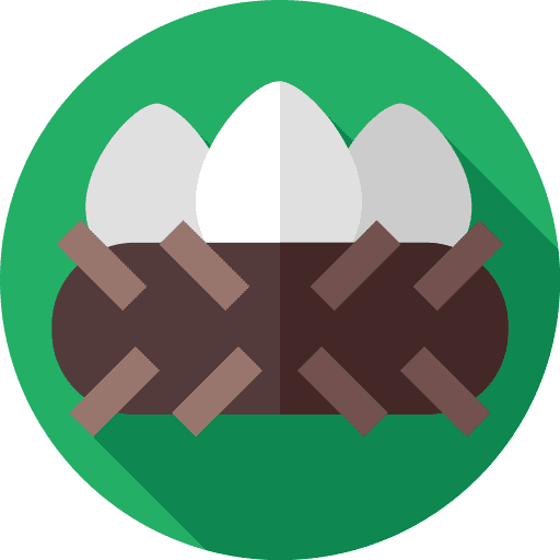 Eggs eggs nest nature icon Eggs eggs nest nature icon