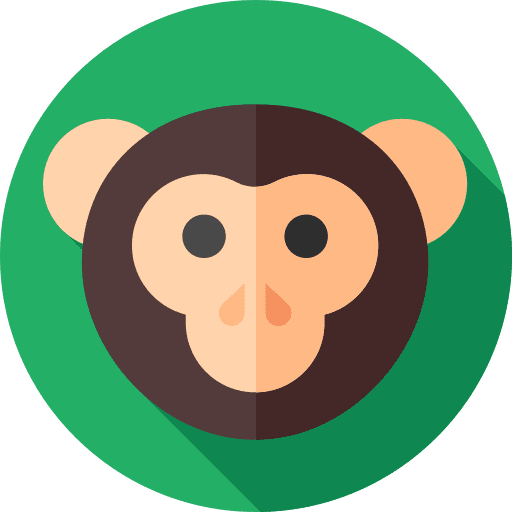 Monkey monkey animal kingdom animals icon