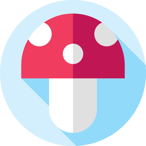 Mushroom nature organic muscaria icon Mushroom nature organic muscaria icon