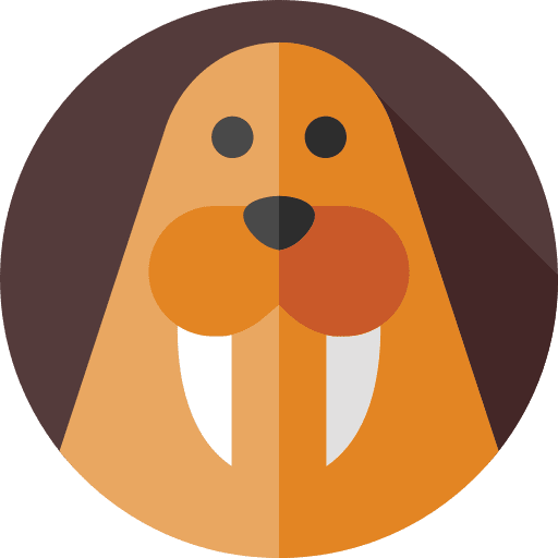 Walrus animals animal kingdom animal icon