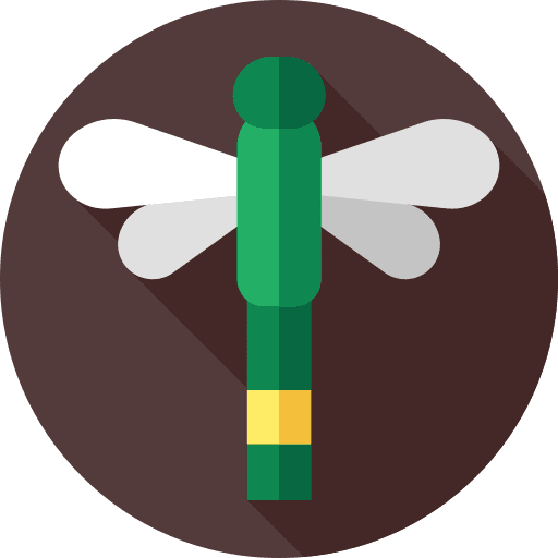 Dragonfly giant dragonfly dragonfly animal kingdom icon Dragonfly giant dragonfly dragonfly animal kingdom icon