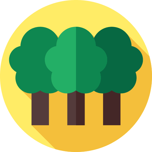 Jungle jungle plant nature icon Jungle jungle plant nature icon