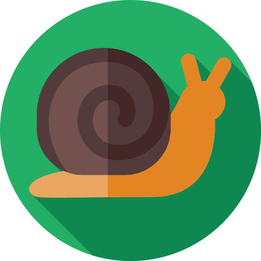 Snail animal kingdom animals garden icon Snail animal kingdom animals garden icon