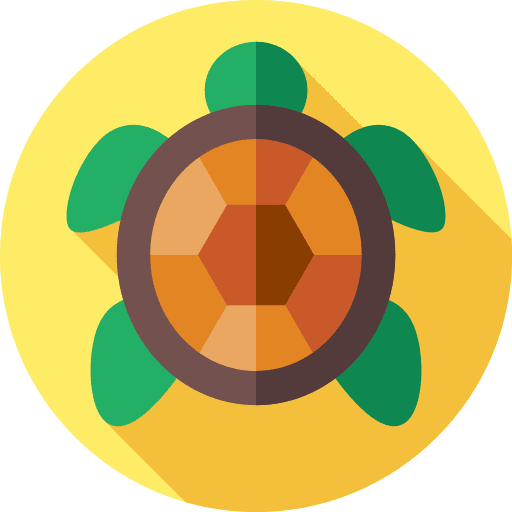 Turtle animals turtle animal kingdom icon Turtle animals turtle animal kingdom icon