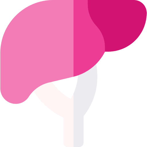 Liver body part anatomy body organ icon