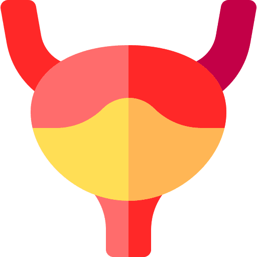 Urine healthcare and medical body organ bladder icon Urine healthcare and medical body organ bladder icon