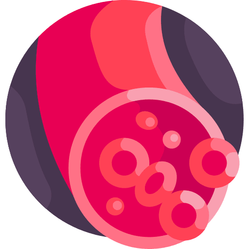 Blood vessel healthcare and medical body part blood vessel icon
