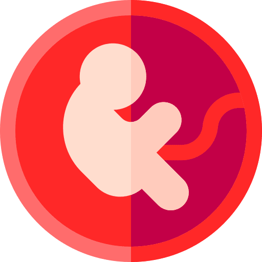 Fetus gestation womb pregnancy icon Fetus gestation womb pregnancy icon