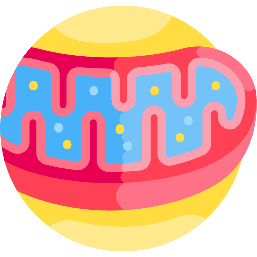Mitochondria mtdna mitochondrial dna test icon Mitochondria mtdna mitochondrial dna test icon