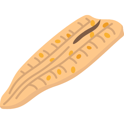 Anago japanese food fish anago icon Anago japanese food fish anago icon
