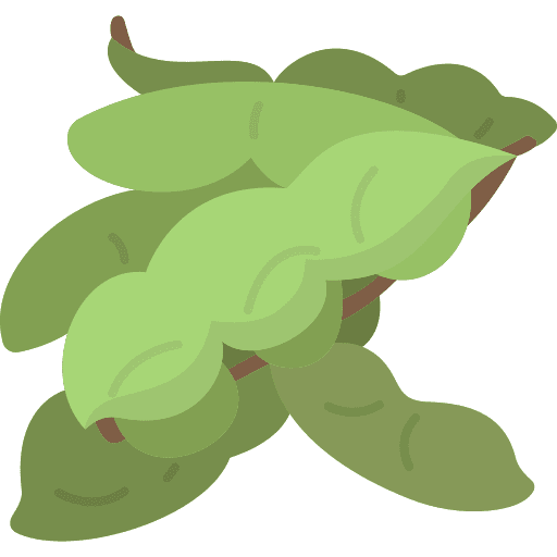 Edamame japanese gastronomy asian icon
