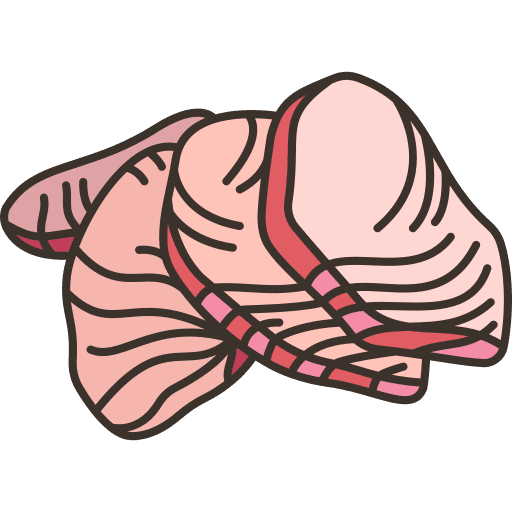 Sashimi sashimi food fillet icon